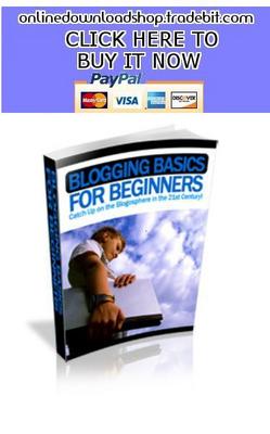 Product picture Blogging Basics For Beginners