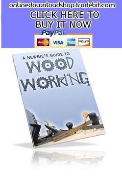 Product picture A Newbies Guide to Woodworking
