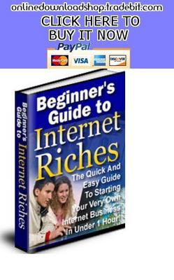 Product picture Beginners Guide To Internet Riches