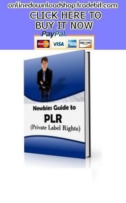 Product picture Newbies Guide to PLR