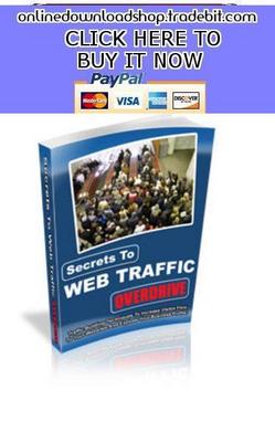 Product picture Secrets To Web Traffic Overdrive