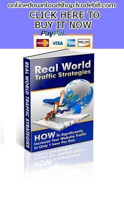 Product picture Real World Traffic Strategies