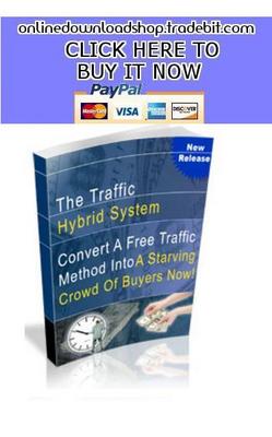 Product picture The Hybrid Traffic System