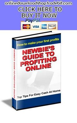 Product picture Newbies Guide To Profiting Online