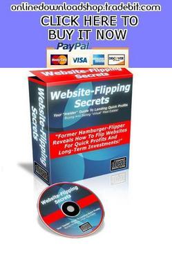 Product picture Website Flipping Secrets
