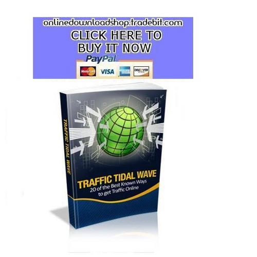 Product picture Traffic Tidal Wave