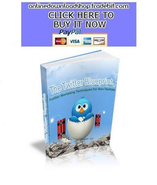 Product picture The Twitter Blueprint